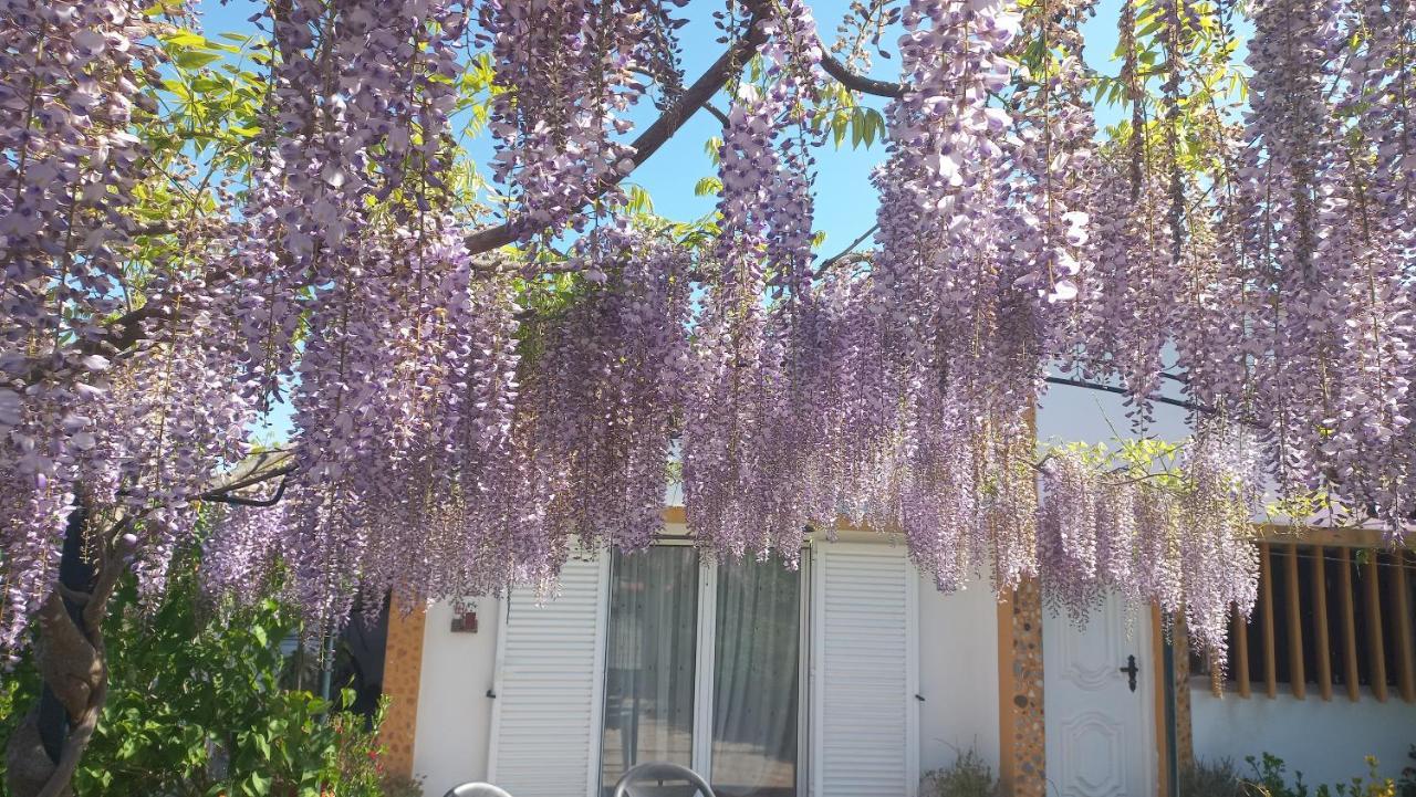 Casa Dos Gansos Villa Perais Exteriör bild