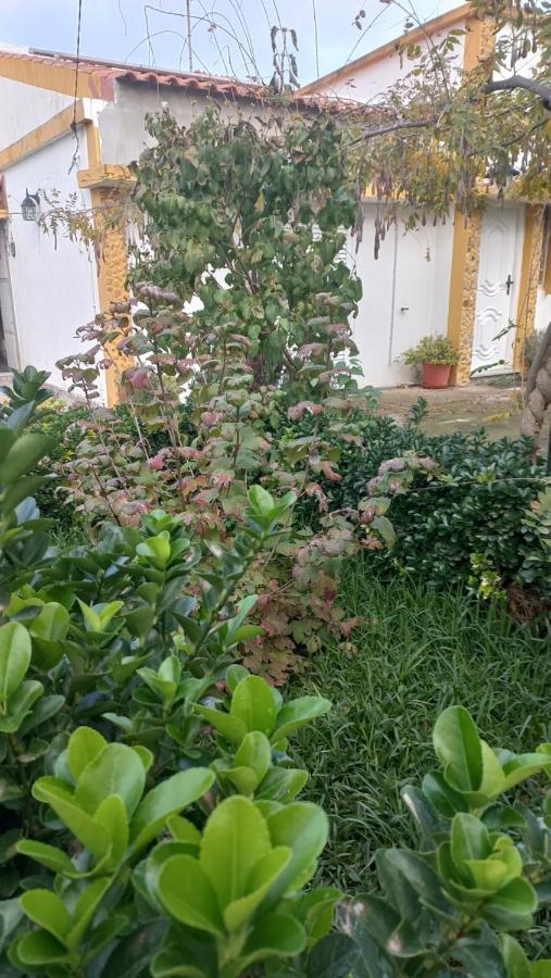 Casa Dos Gansos Villa Perais Exteriör bild